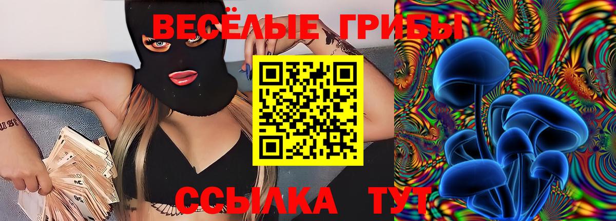 Псилоцибиновые грибы Magic Shrooms Гай