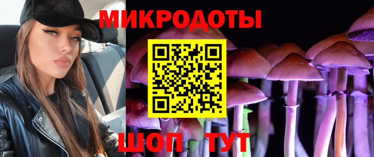 наркота  Псилоцибиновые грибы MAGIC MUSHROOMS  Вход с VPN  Гай 